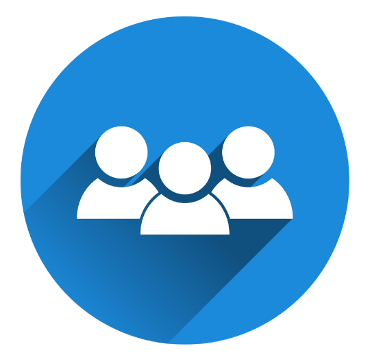 About the project